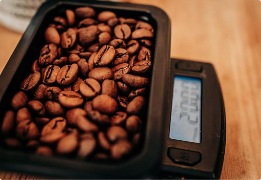 How to Understand Physical Measurements of Green Coffee Bean: Moisture Content, Density and Water Activity