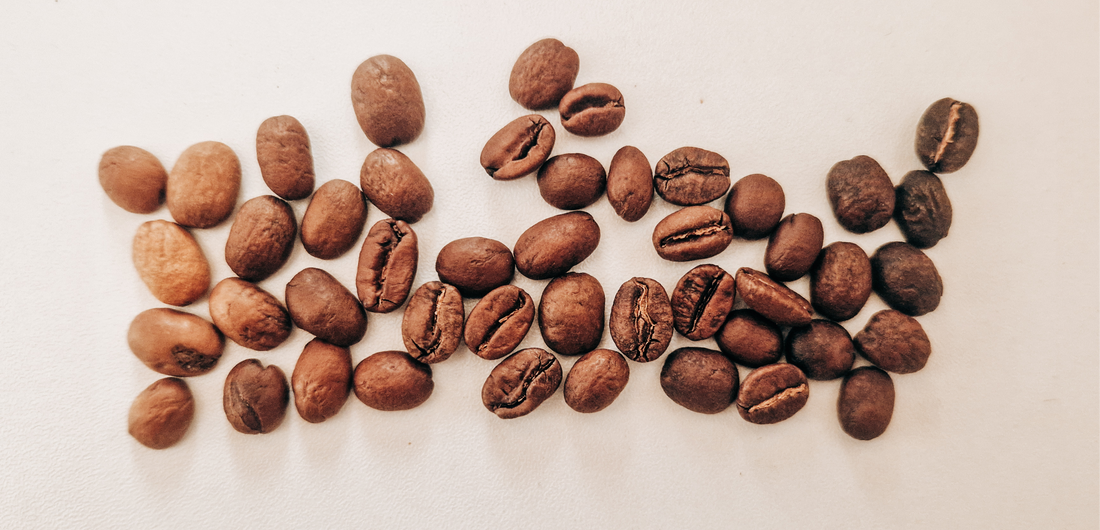 Types of Coffee Roasts: Roast Levels, Methods, and How to Choose