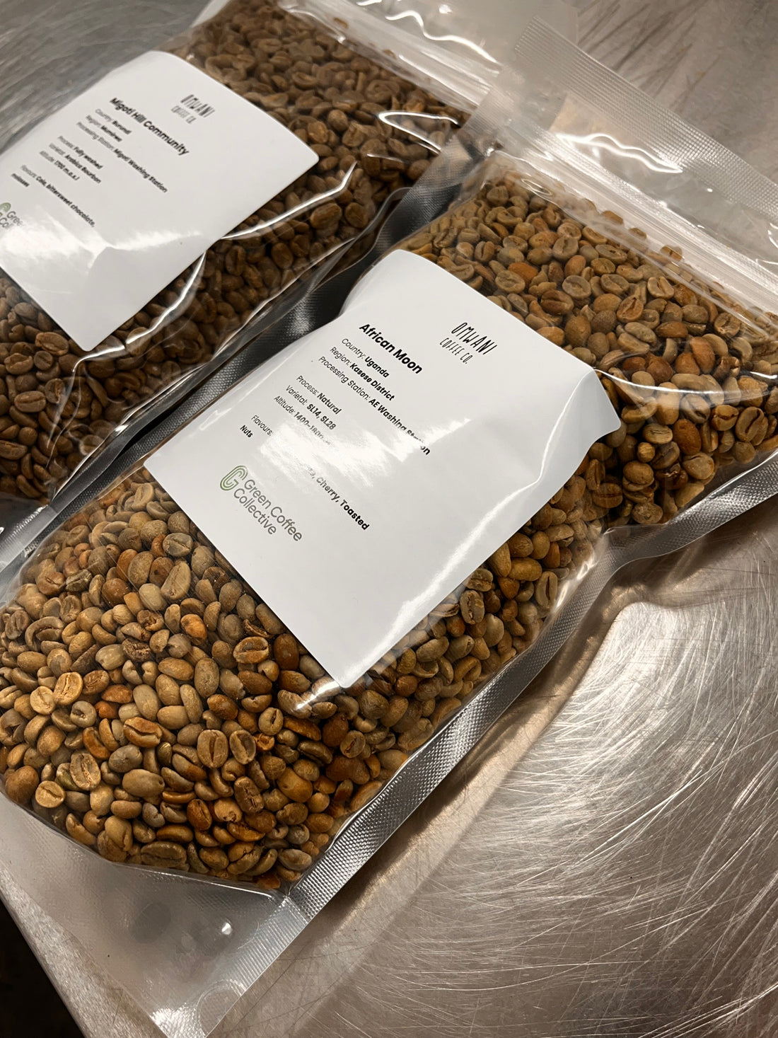 Green Coffee Bean Storage 101: Essential Tips for Home and Micro Roasters