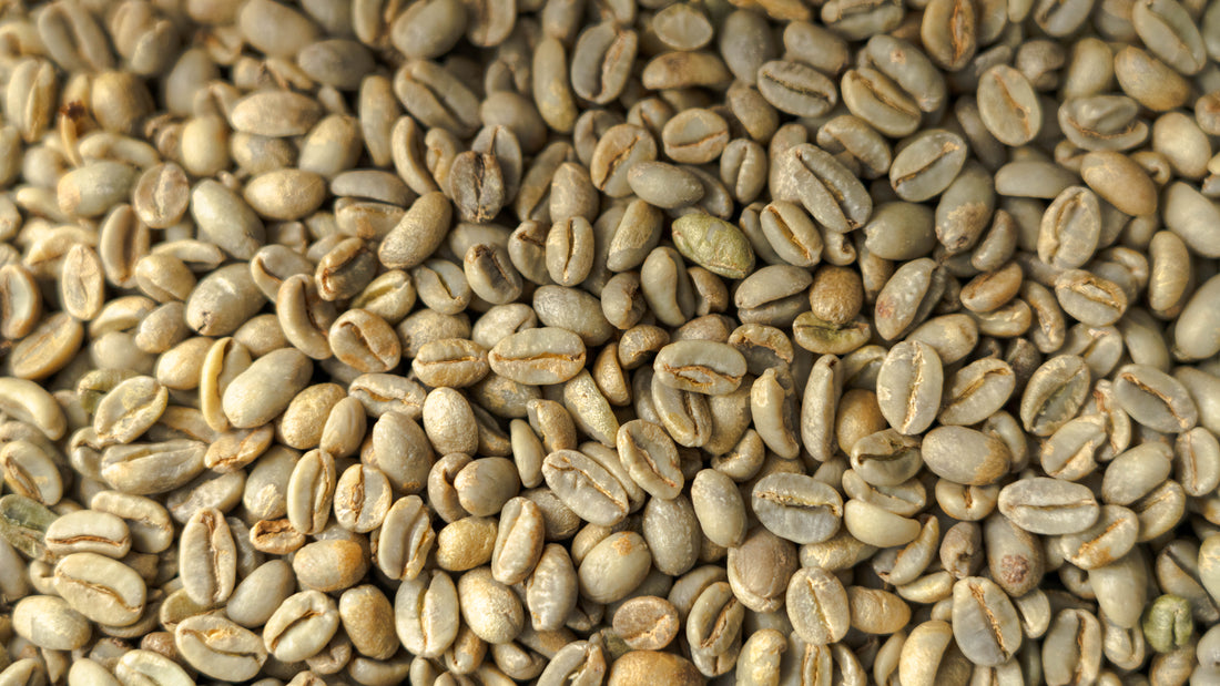 Coffee Roast Profiling: How to Translate Sample Roasts to Production