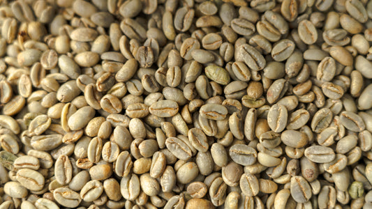 Coffee Roast Profiling: How to Translate Sample Roasts to Production