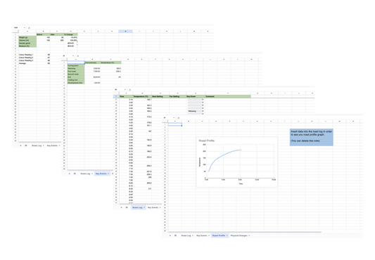 Digital Roaster Log