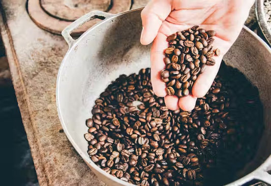 Essential Equipment for Home Coffee Roasters: A Complete Guide