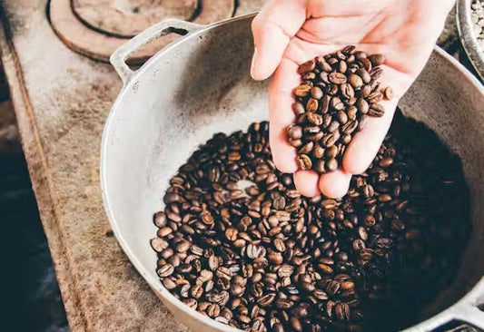 Coffee Home Roaster Essentials: A Complete Guide to Equipment