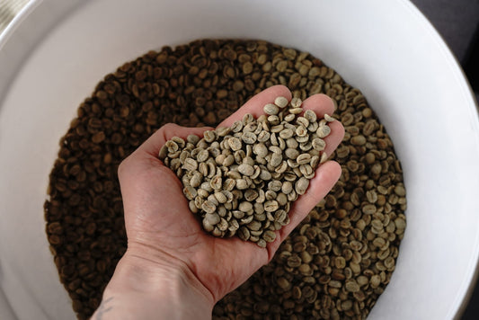How to Roast Decaf Coffee: What Changes and How to Adjust