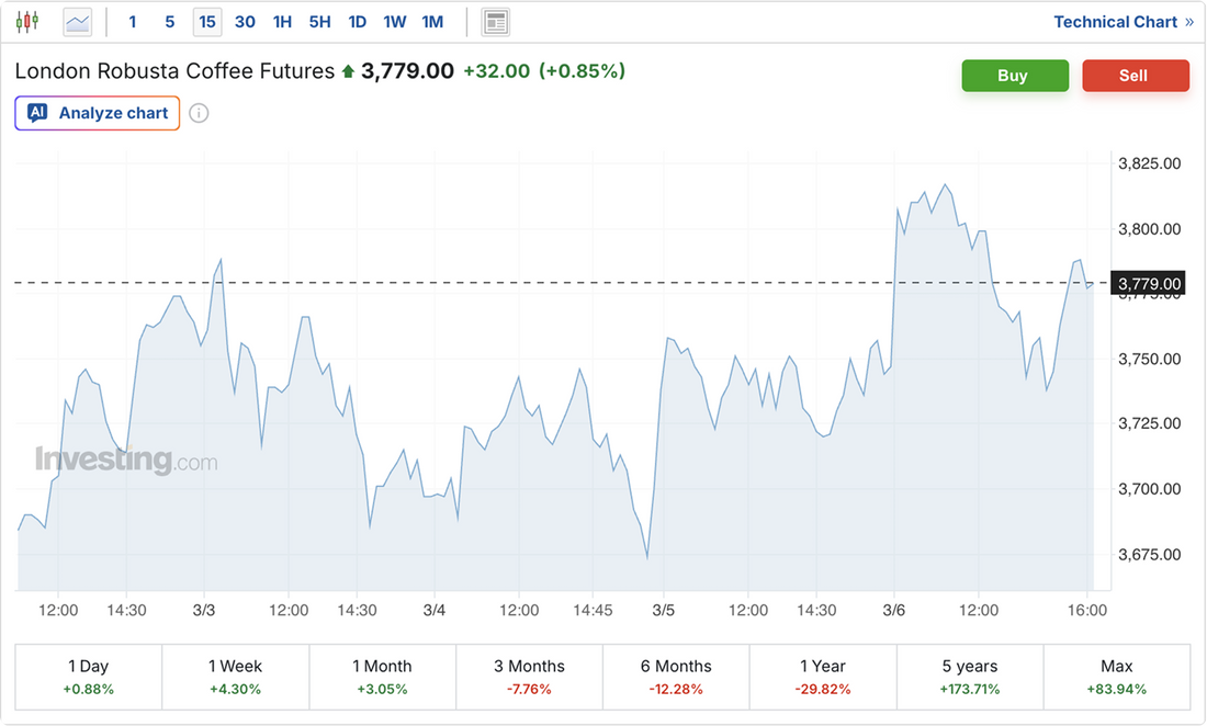 The Coffee Trade Explained: How Coffee Is Graded, Priced and Traded Globally