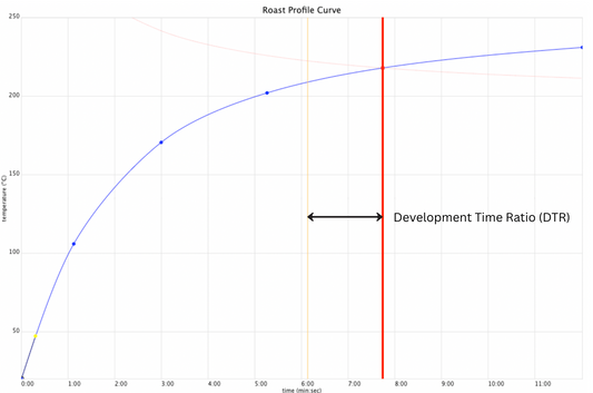 Development Time Ratio (DTR) in Coffee Roasting: What It Is and How to Use It