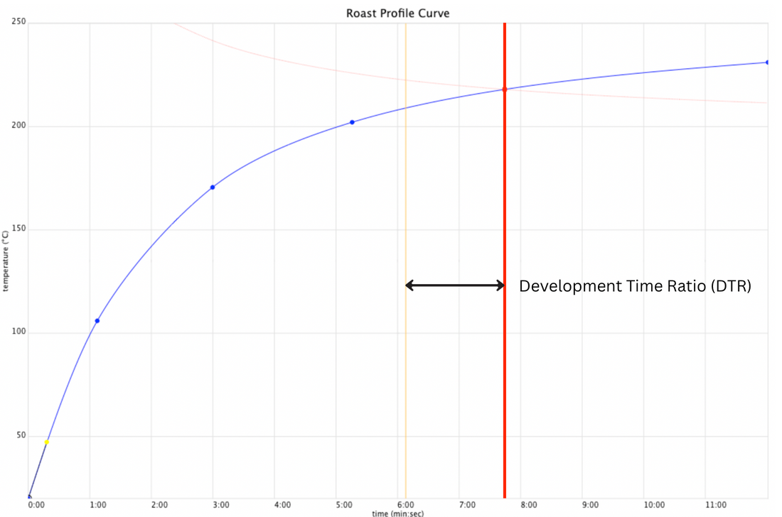 Development Time Ratio (DTR) in Coffee Roasting: What It Is and How to Use It