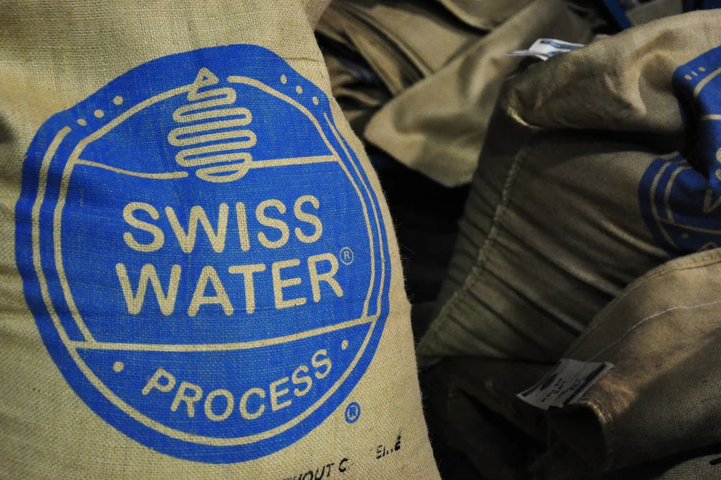 The Ultimate Guide to Swiss Water Process Decaf Coffee: Benefits, Process, and Flavour Insights