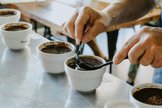 Coffee Cupping: How to Cup Coffee at Home