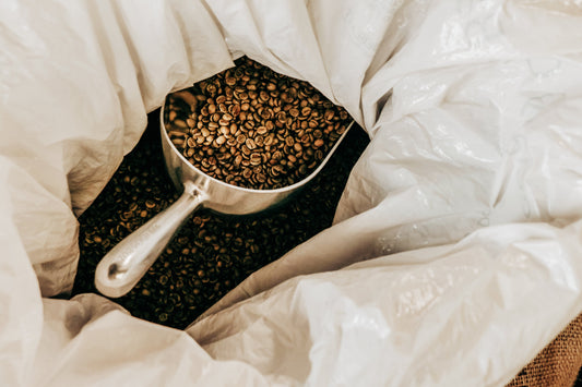 Is It Worth Roasting Your Own Coffee? An Honest Look