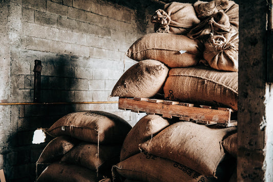 November Unfiltered: What's been happening behind the scenes