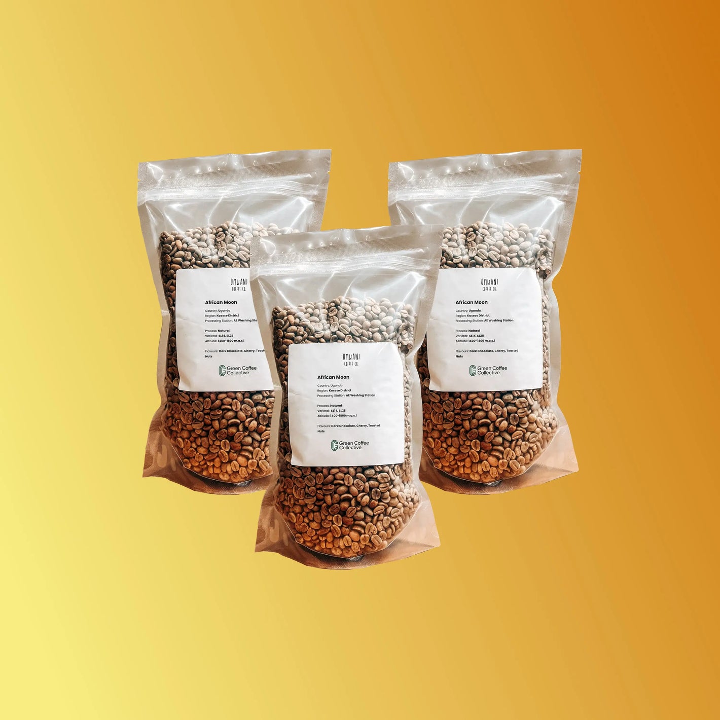 Custom Bundle Builder