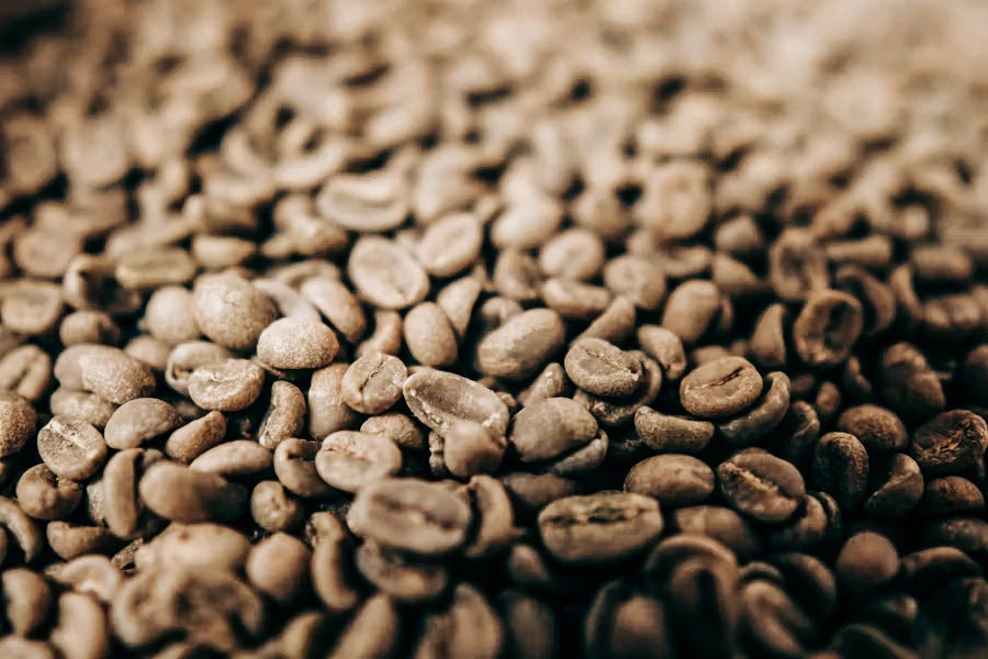 Green coffee beans close up