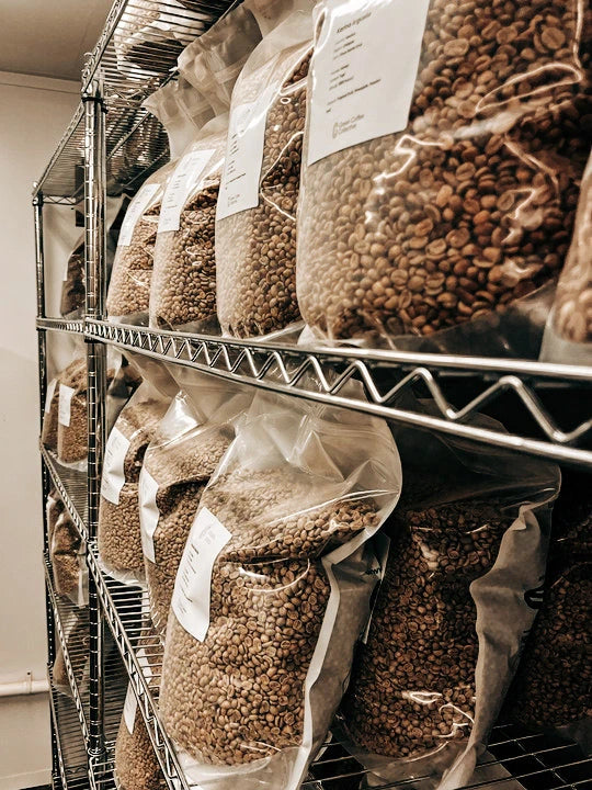 Small Quantities of Green Coffee Beans