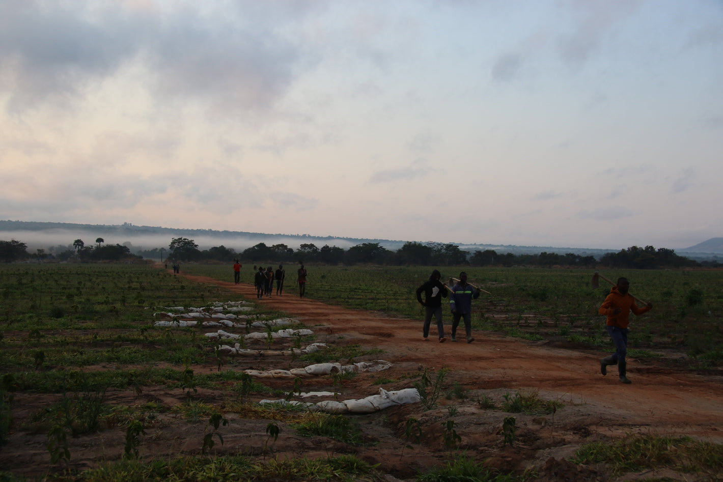Zambia