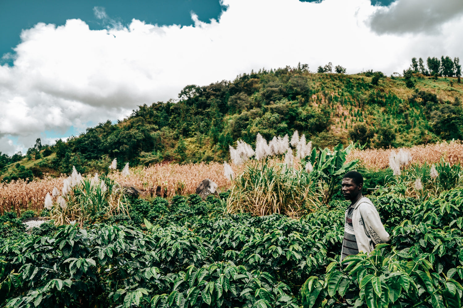 Malawi