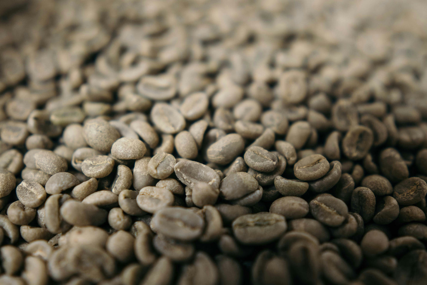 Staple Green Coffee Beans