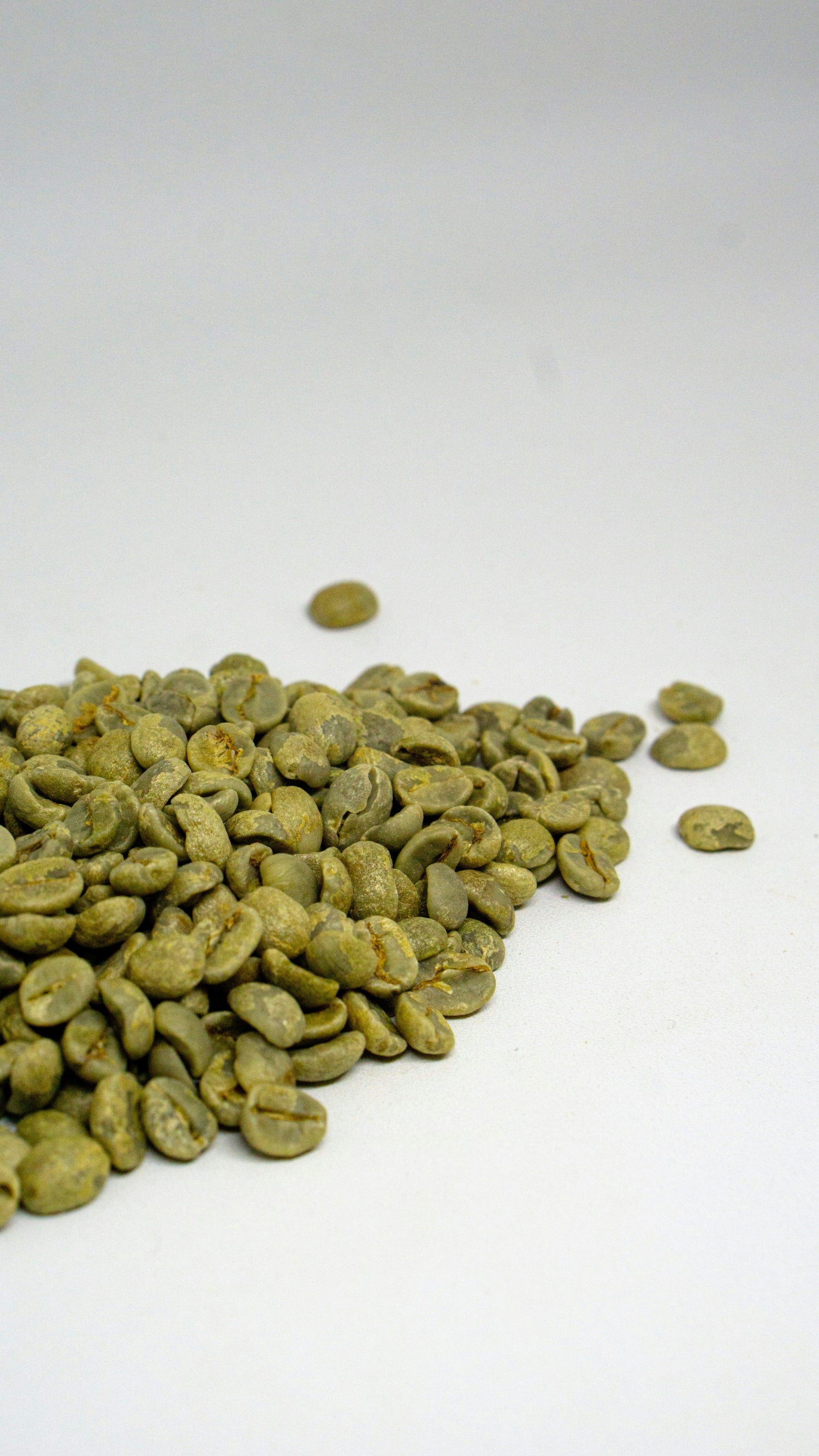 Wholesale Test