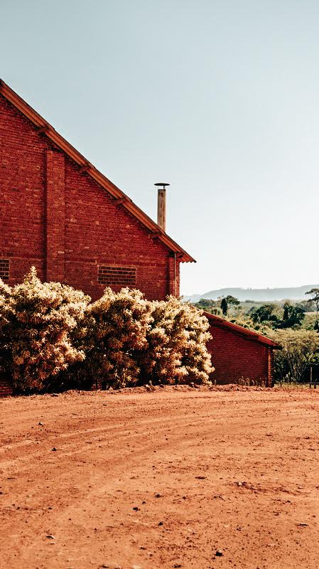 Rocala Carbonic Maceration