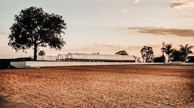 Ciasu Peaberry Field Blend