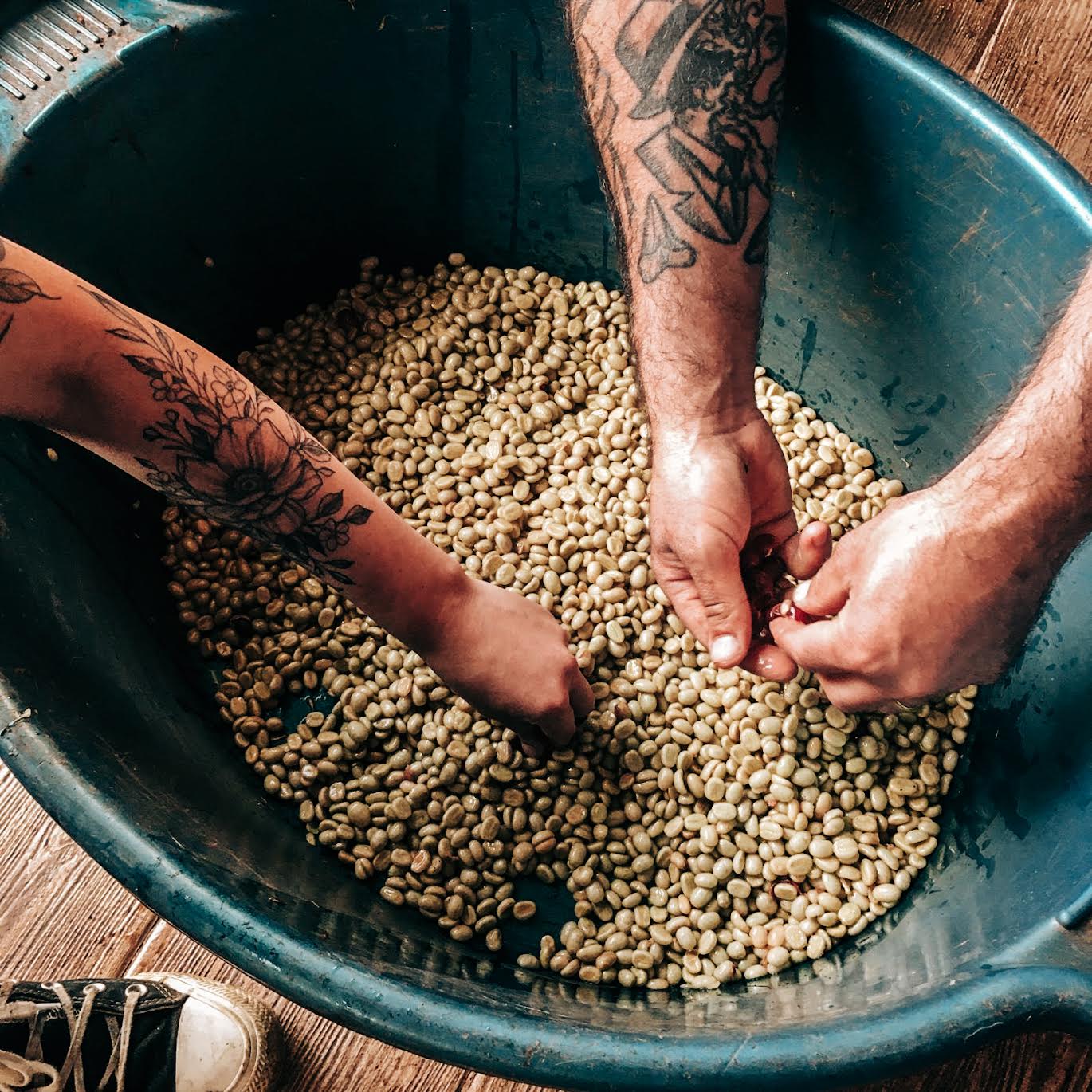Makicuna Blend