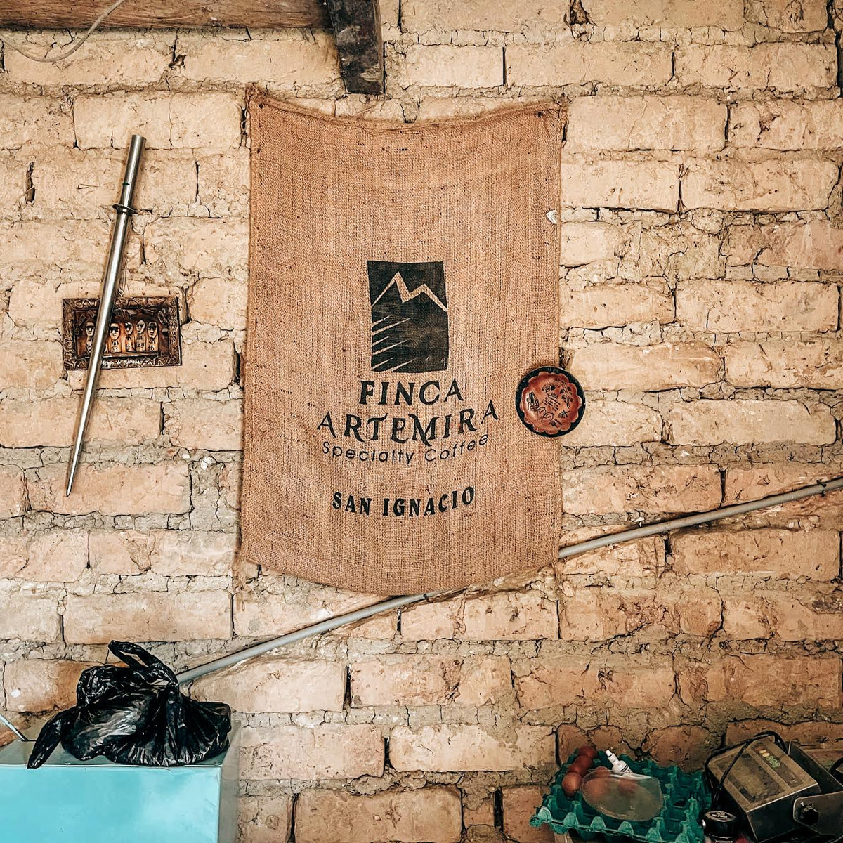 Finca Artemira, promytá odrůda Tabi