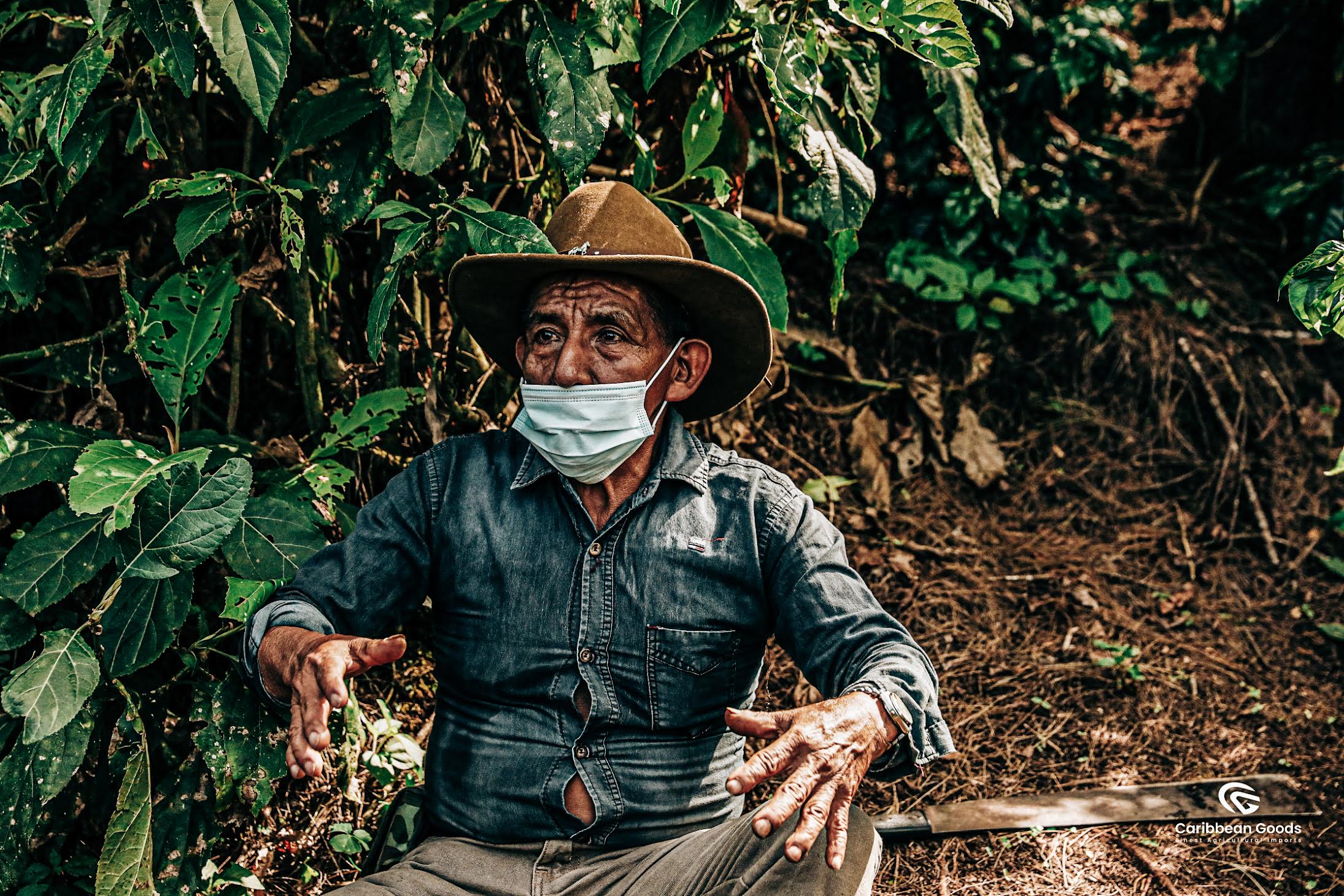 Daniel Tarling Guatemala Hunbatz Washed Coffee | Versatile for Espresso & Filter ...