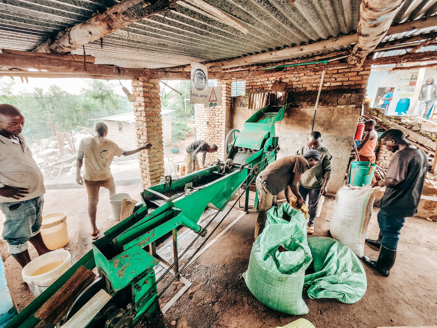 Rwamatamu Peaberry