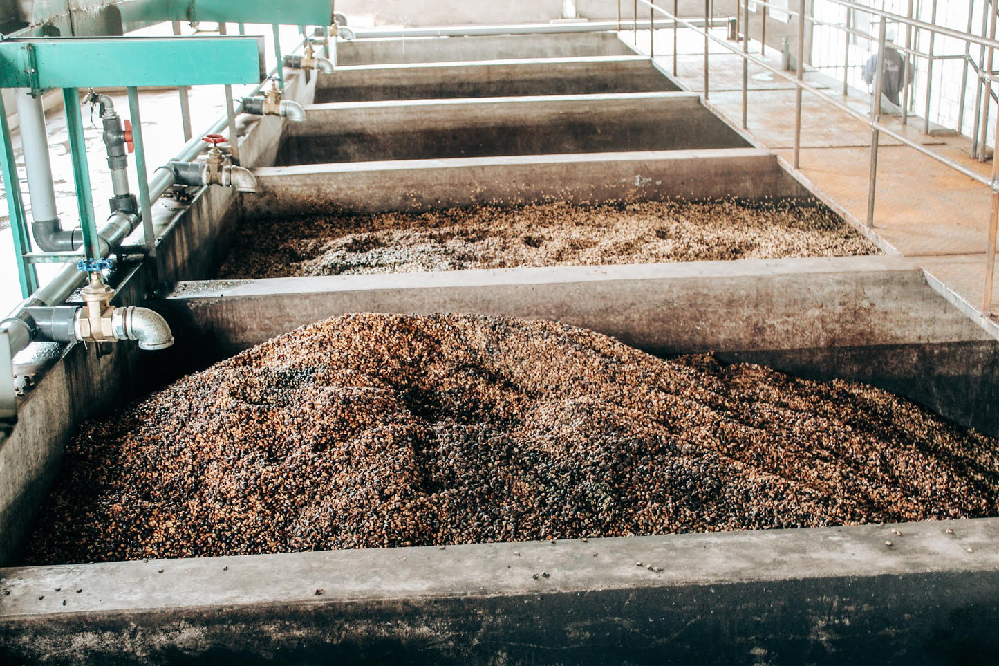 Agri Evolve Extended Fermentation