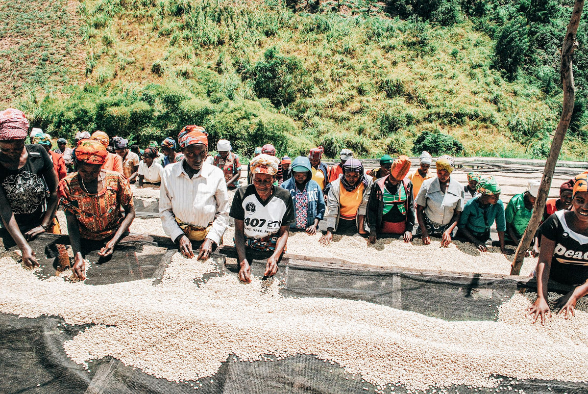 Kirunga Lot 14