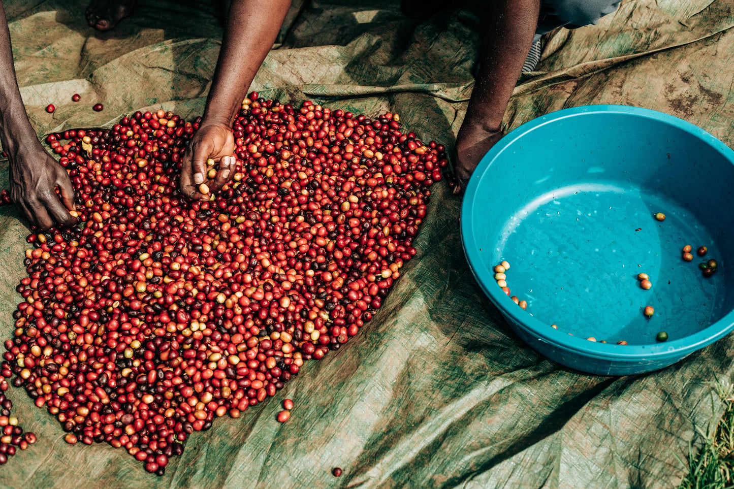 Agri Evolve Pulped Anaerobic