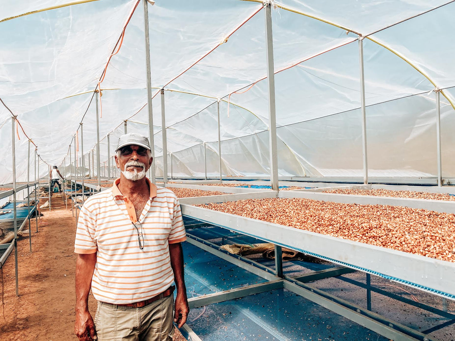 Craigmore Kattimuttu - Robusta - Honey Sundried