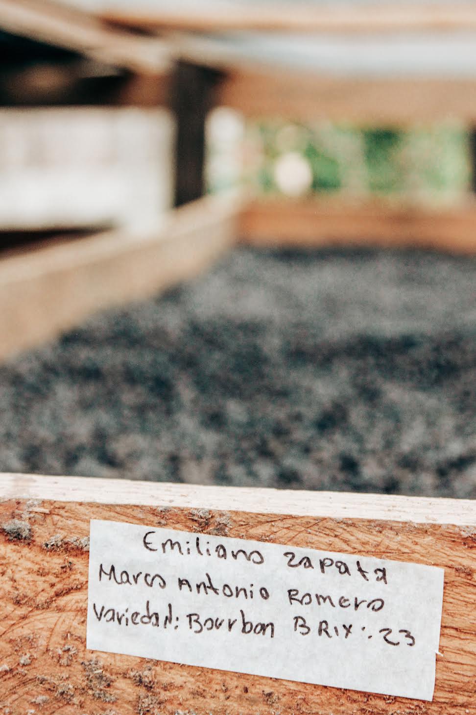 Marco Romero | Bourbon Natural