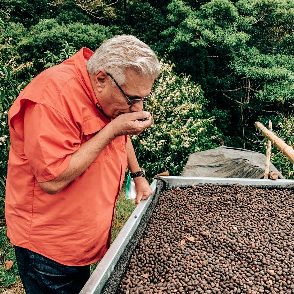Altieri Coffee Catuai Natural Anaerobic