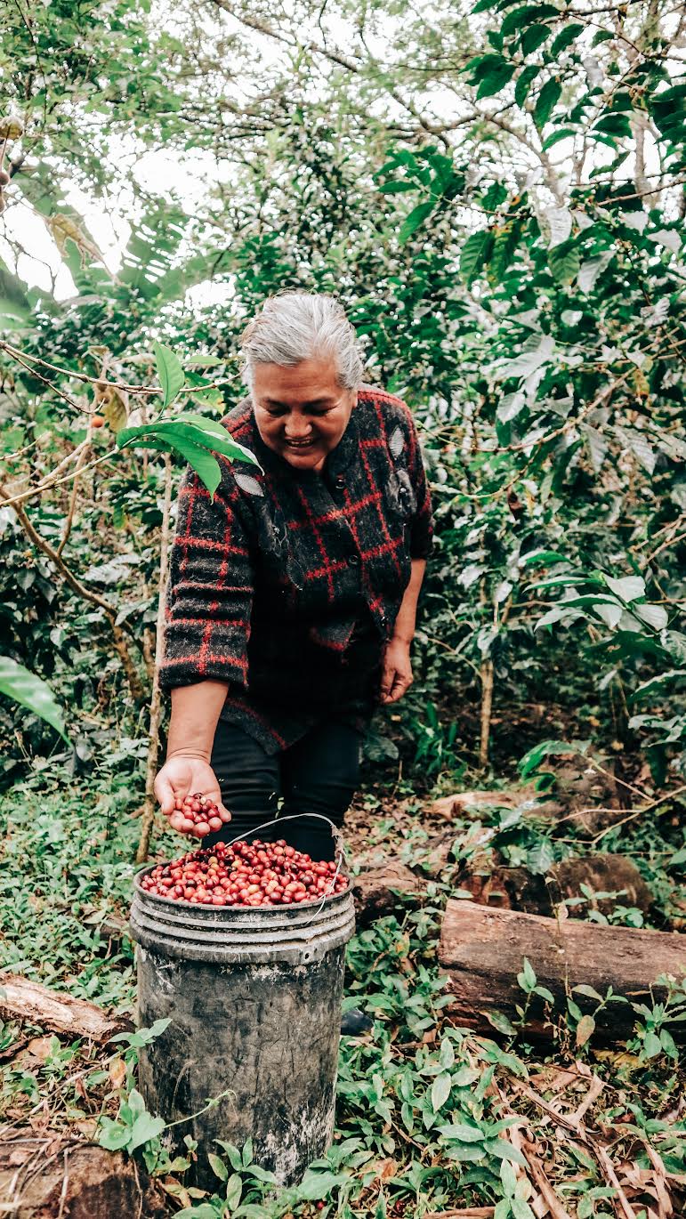 Makicuna Blend