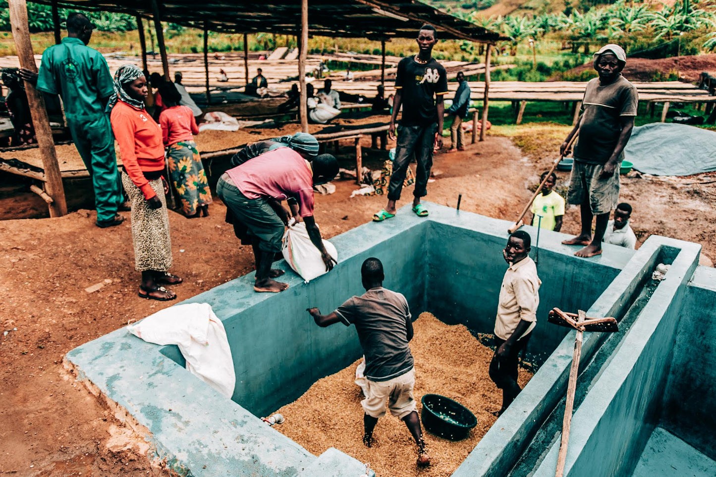 Rwanda Rugali Honey