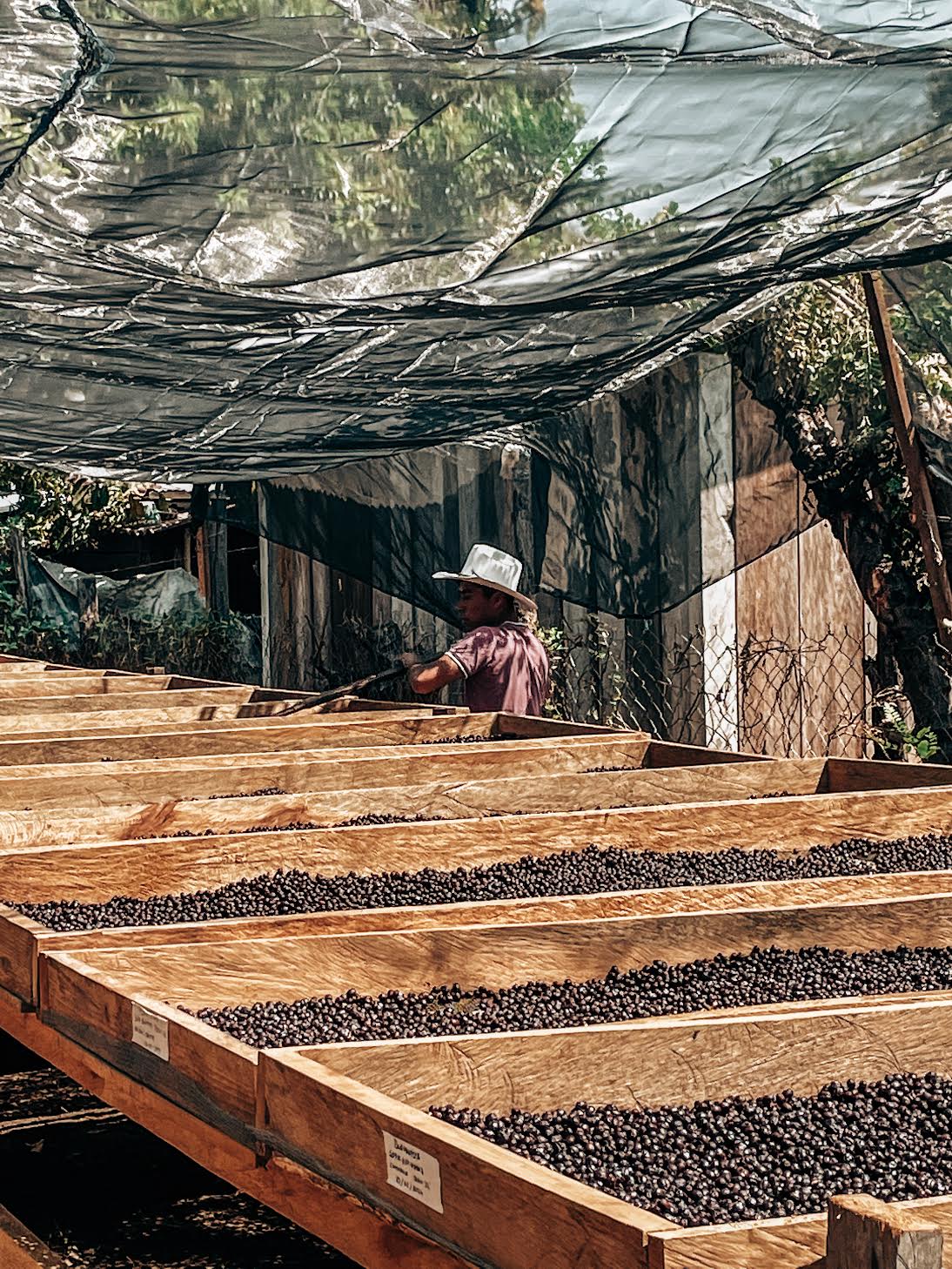 Marco Romero | Bourbon Natural