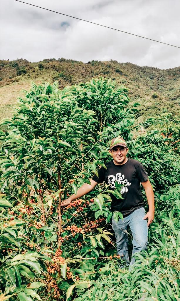 Las Flores Pink Bourbon Decaf