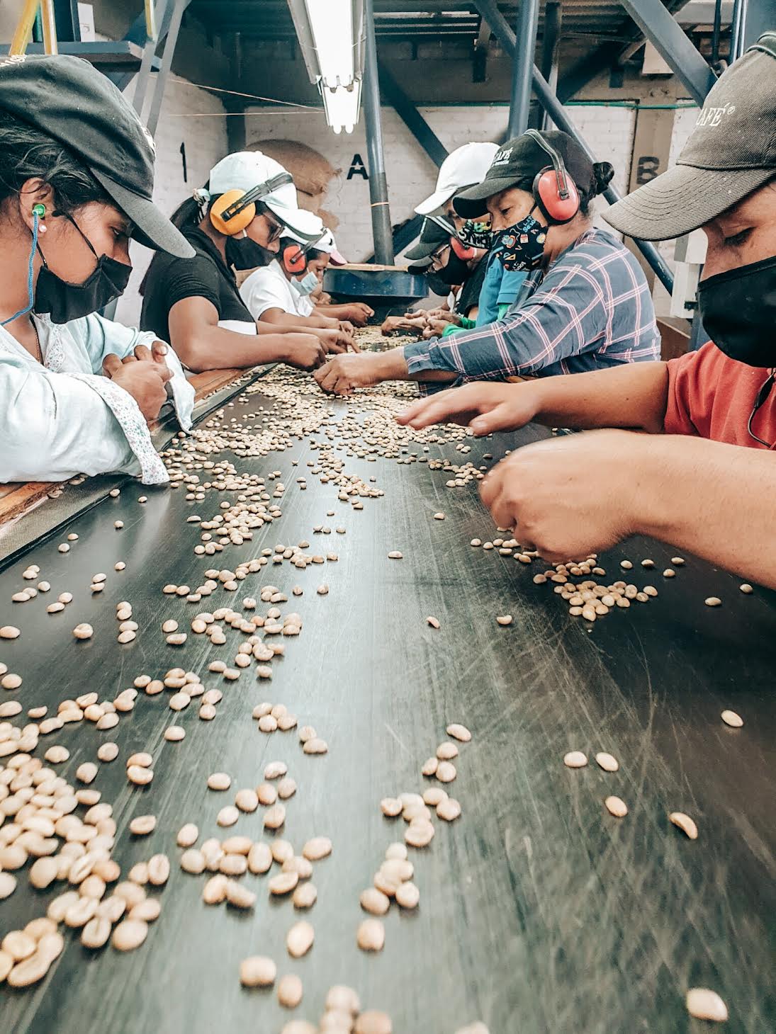 WBP-00 Wilton Benitez Castillo