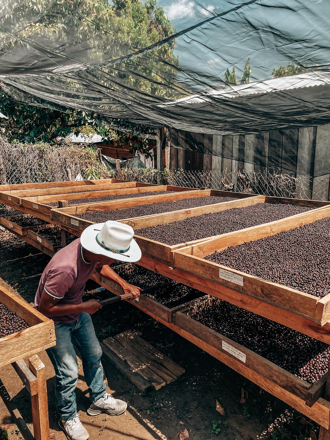 Marco Romero | Bourbon Natural