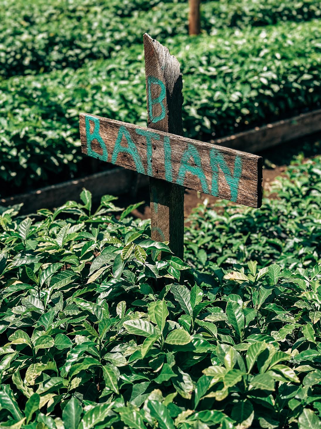 Priory Farm C