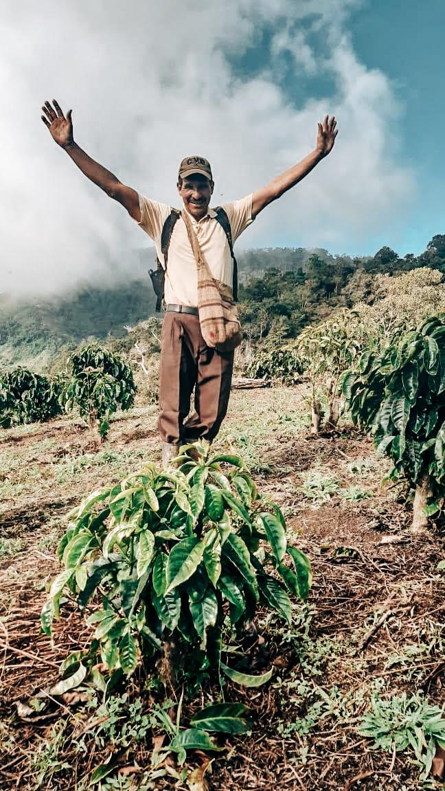 Joaquim Oñate – Finca El Mirado - Washed