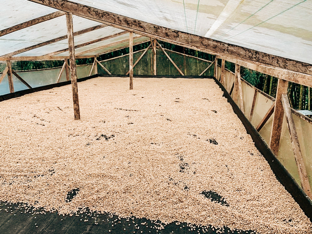 Kolumbien Excelso EP