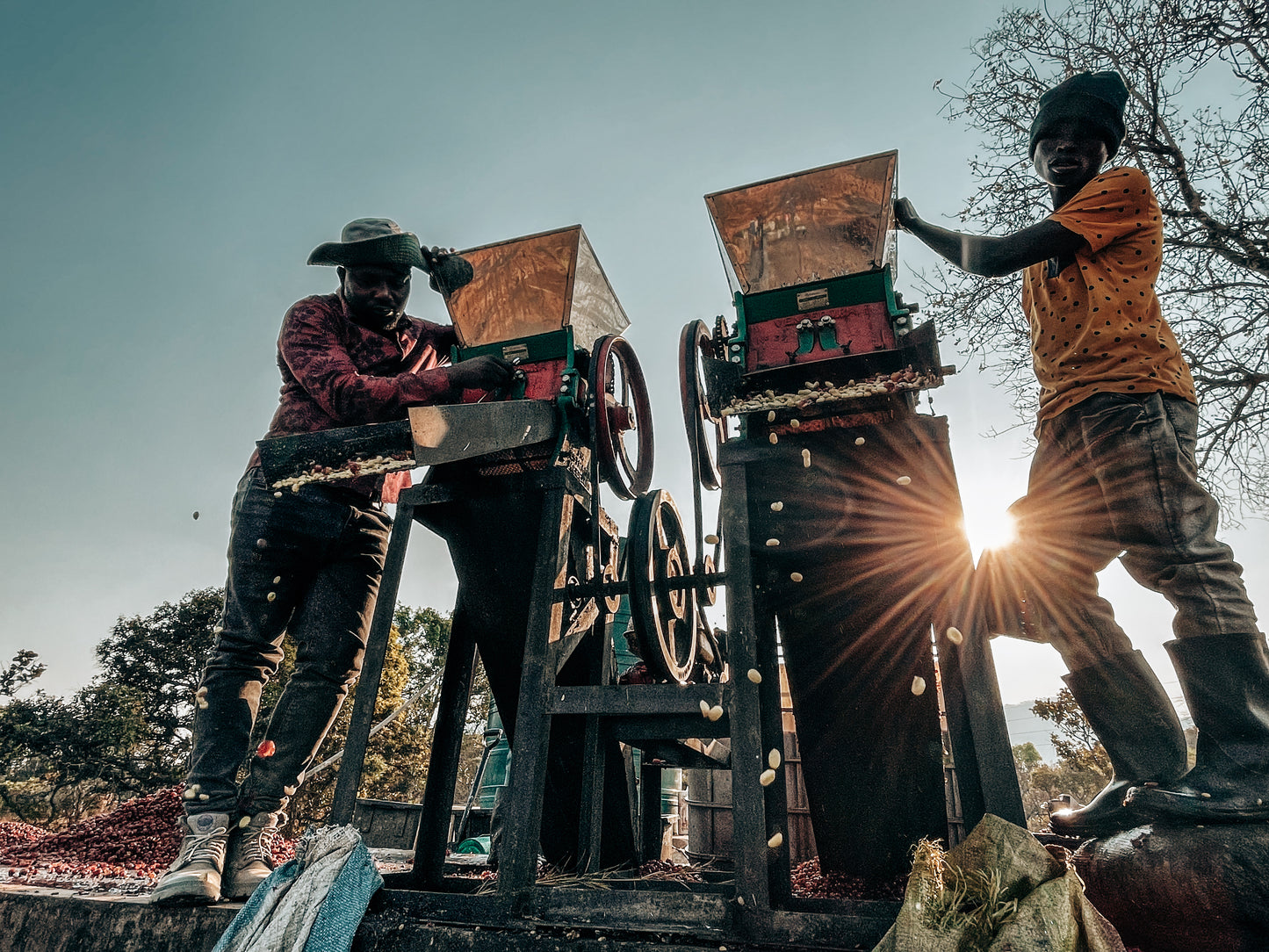 Gewaschen Starmaya AA