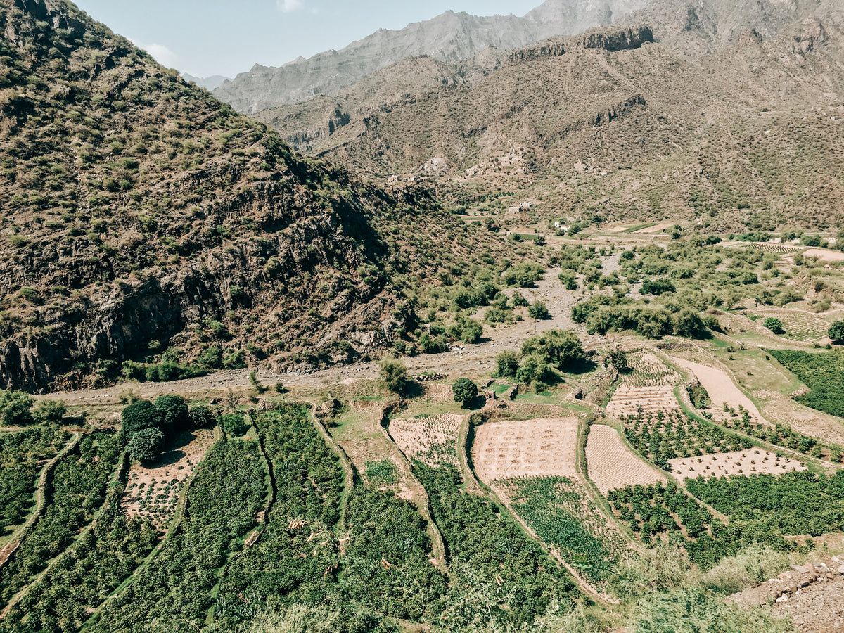 Wadi Al Theeb