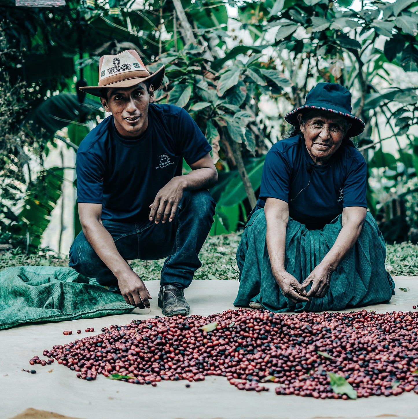 Elvis Choquehuanca sorting cherries