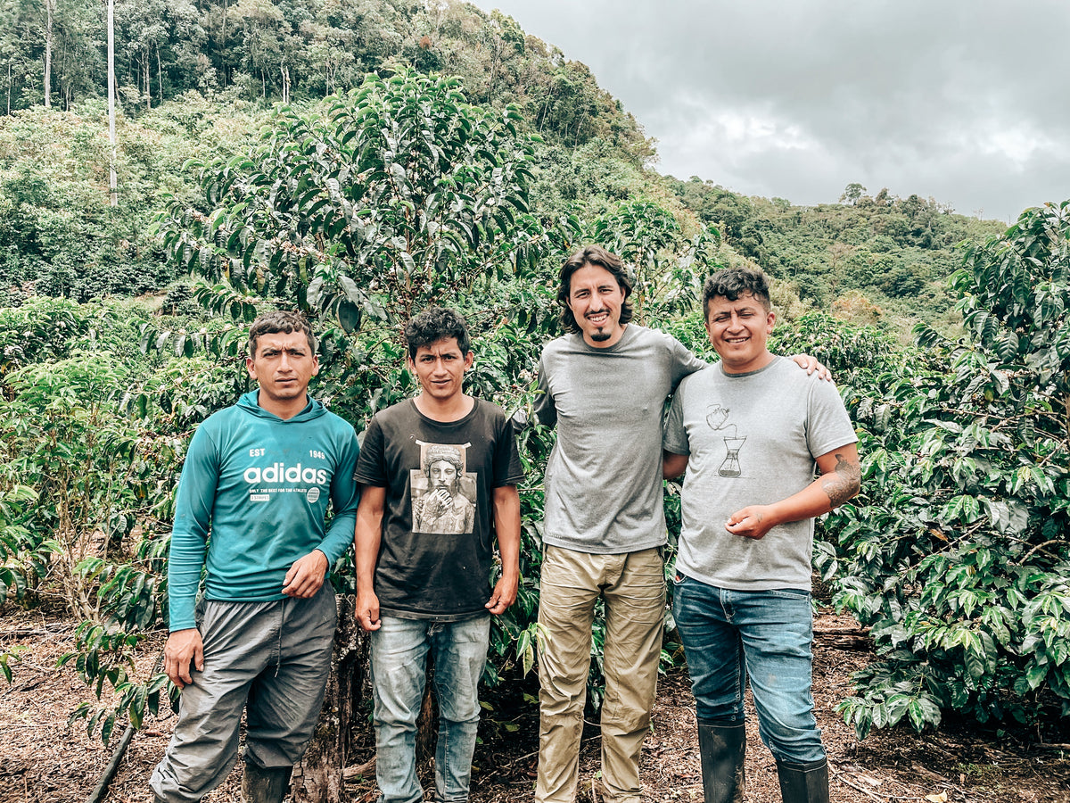 Finca Artemira - Ebert Huaman Villegas - Washed Catuai & Caturra