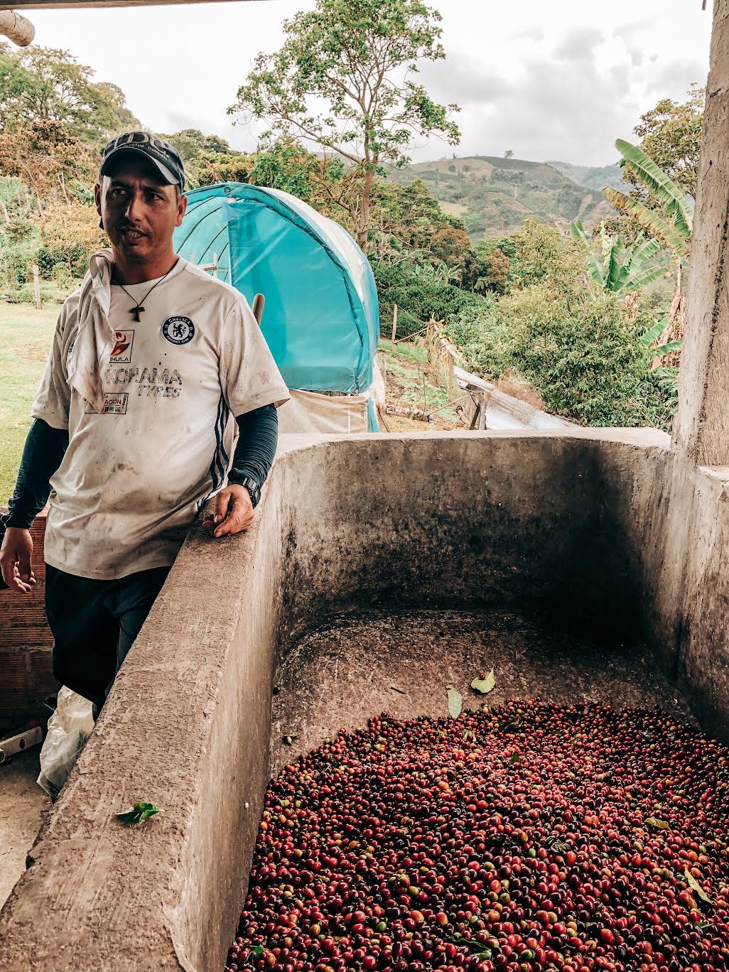 Hervey & Rocio Cuellar coffee producer and cherries
