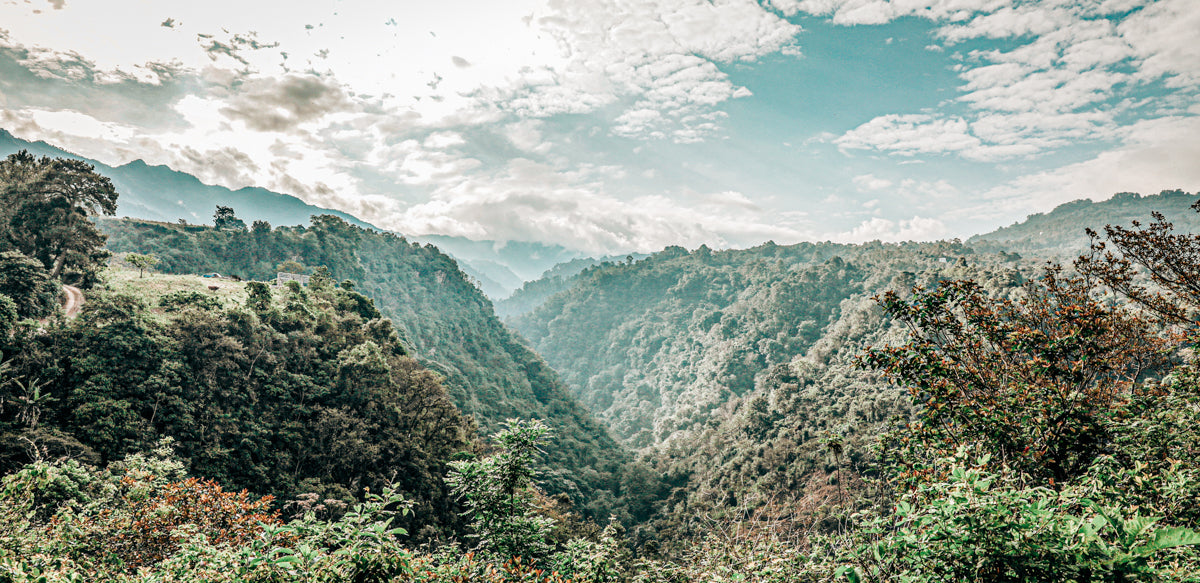 Hunbatz coffee mountains landscape